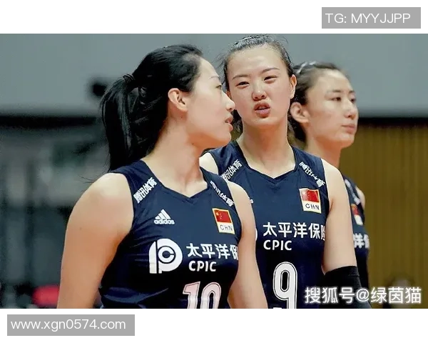 最新排球状态排行榜揭晓广州排球队稳居第一名