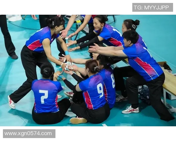 排球焦点：上海排球队的力量探讨